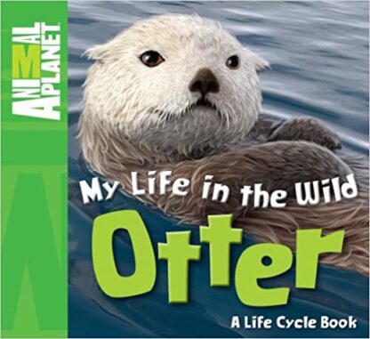My Life in the Wild - Otter