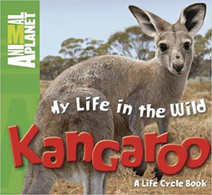 My Life in the Wild - Kangaroo