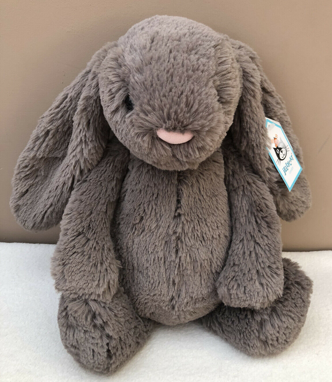 Jellycat: Bashful Truffle Bunny-Medium – BOOKS Plus Cardiff