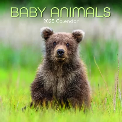 Baby Animals Calendar Gifted Stationery: 2025 Square Calendar